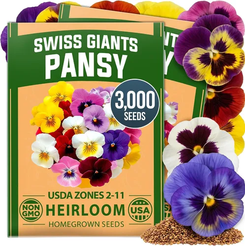 Vista 40 de HOME GROWN Semillas de Hollyhock de doble mezcla de Chater, 200 semillas