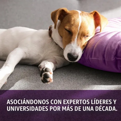 Vista 4 de Sentry Calming Chews for Dogs