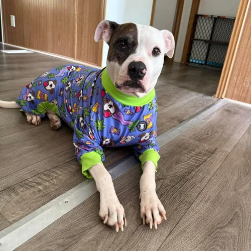 Vista 2 de Pittie Clothing Pijamas para Perro Pit Bull – Mameluco para Perro de Cobertura Completa, Ropa de Pijama Suave para Razas Medianas, Grandes, XL y XXL