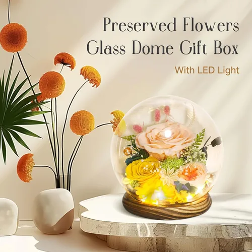 Vista 2 de Flores preservadas para mamá, rosas champán preservadas en cúpula de cristal con luz LED para novia, flores reales eternas para mujeres, regalo