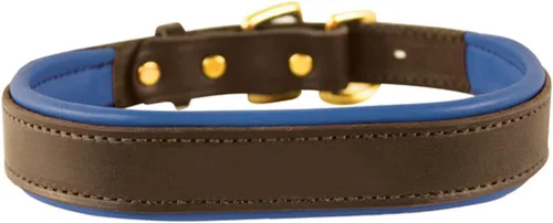 Vista 6 de Perri's Collar de perro de cuero acolchado en colores metálicos y no metálicos Negro/Negro
