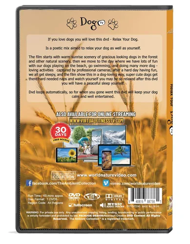 Vista 3 de DVD For Dogs To Watch - Relaxing Dog Videos - Relax Your Dogs With Super-cute Dogs In Natural Scenery From Beaches To Snow To Calm Your Dog