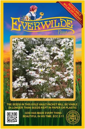 Vista 4 de everwilde granjas – Heath Aster Native semillas de flores silvestres – oro Vault