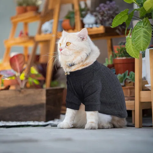 Vista 5 de Idepet Sphynx Suéter de gatos sin pelo, camisa suave para cachorros, lindo pijama de gato, ropa de algodón para mascotas, cuello alto de invierno