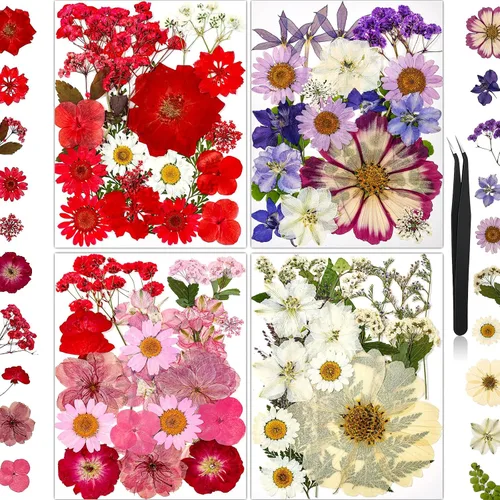 Vista 19 de 100 piezas de flores prensadas secas de hortensias para manualidades de Hortensia 100pcs