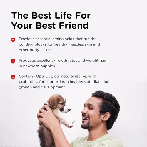 Vista 4 de Nutri-Vet Sustituto de leche para cachorros, leche en polvo, alimentación para cachorros recién nacidos, artículos esenciales para perros, productos