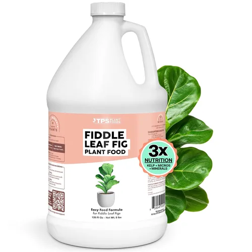 Vista 11 de Fertilizante violeta africana, alimento vegetal líquido para más flores, 1 galón