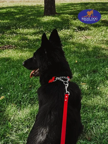 Vista 3 de Regal Dog Products Collar Martingale para perros – Collar impermeable de bioano para perros pequeños, medianos y grandes – Cadena resistente