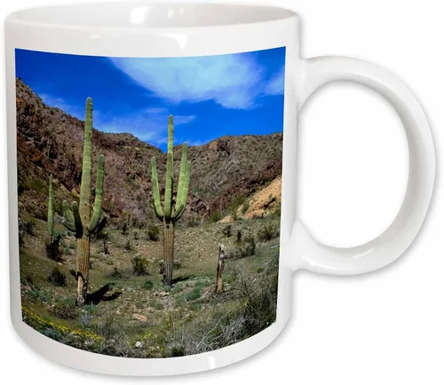 Vista 11 de 3dRose USA, Arizona, Ajo, Saguaro cacti - US03 PHA0020 - Peter Hawkins 11oz Two-Tone Black Mug