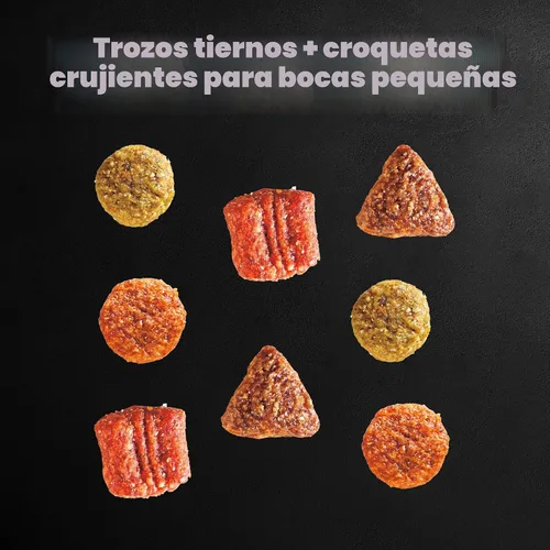 Vista 8 de Cesar Alimento seco para perros de raza pequeña para perros pequeños, sabor a pollo asado y guarnición de verduras de primavera, bolsa de 12 libras