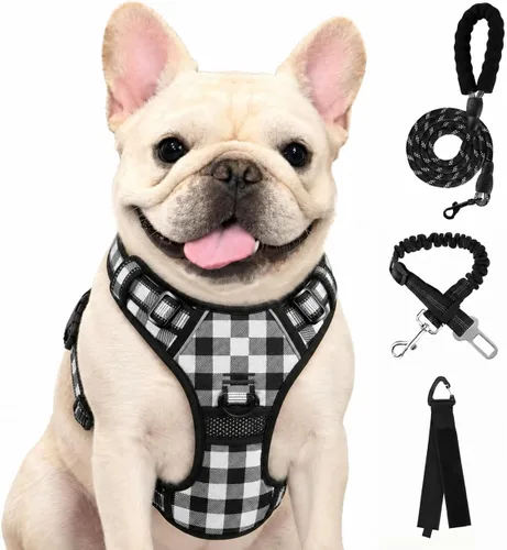 Vista 10 de FURRYFECTION - Arnés para perro a cuadros con correa y cinturón de Rosa