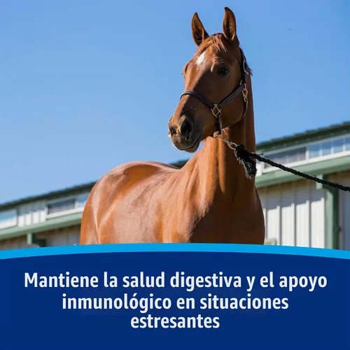 Vista 4 de Farnam Los caballos en jeringa con pasta probiótica ayudan al equilibrio El suplemento de salud digestiva e inmunológica de entrega rápida apoya un