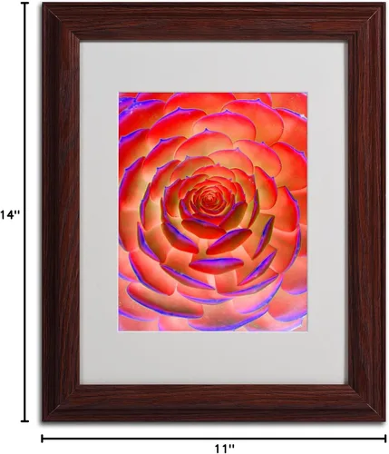 Vista 6 de Trademark Fine Art Arte de plantas en arte enmarcado mate por Patty Tuggle en marco de madera, 11 x 14 pulgadas