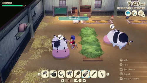 Vista 5 de Story of Seasons Grand Bazaar Premium Edition Nintendo Switch