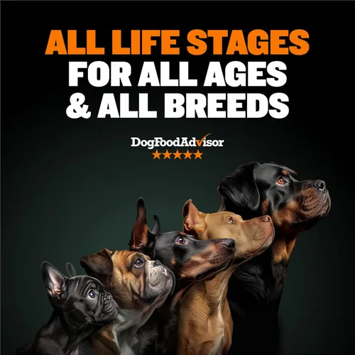 Vista 9 de Bully Max Ultimate Nutrition Bundle – Líquido para ganar peso y alto rendimiento premium de 15 libras. Alimento seco para perros – Alto
