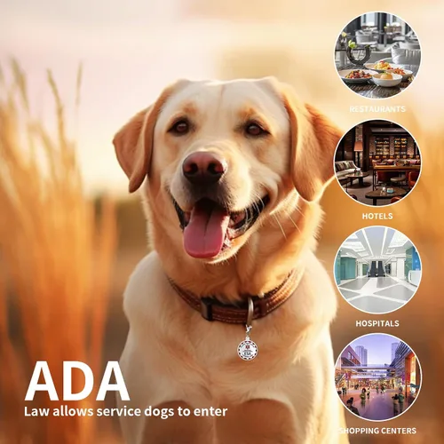 Vista 4 de Etiqueta de perro de apoyo emocional, etiqueta de identificación de metal para mascotas, etiqueta ESA, símbolo de alerta médica roja de doble cara