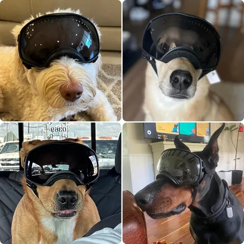 Vista 2 de Gafas de sol para perros de razas grandes, protección UV para perros medianos a grandes, protección ocular de mascotas