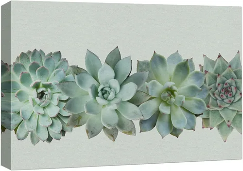 Vista 38 de wall26 Lienzo impreso para pared, diseño de rosa del desierto, suculentas, naturaleza, desierto, fotografía, realismo, floral, botánico, suroeste