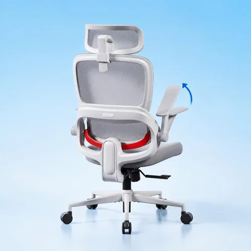 Vista 17 de SIHOO Silla de oficina ergonómica M57, silla de escritorio con respaldo de Negro