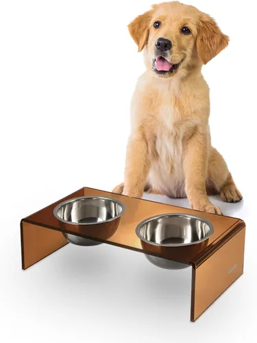 Vista 22 de DBL2000B Keaton - Comedero rectangular elevado moderno de lucita para mascotas de 5 pulgadas, tamaño pequeño/mediano, con 2 cuencos de acero