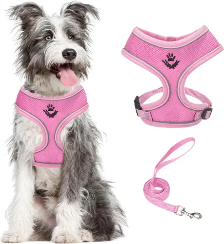 Vista 42 de PUPTECK Juego de arnés y correa de malla suave para perro, cachorro y gato, cómodo chaleco acolchado sin tirones, azul Pascua, S