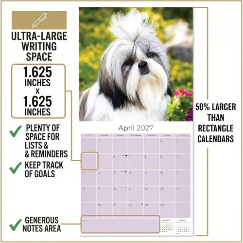 Vista 4 de Razas de Perros 2017 Shih Tzu