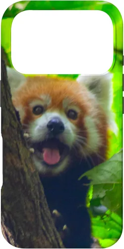 Vista 30 de Cute Funny Red Panda Smiling Tree Animal Nature Lover Gift Case for iPhone 17