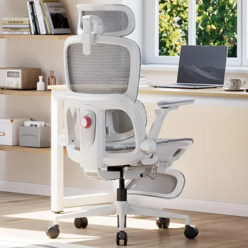 Vista 17 de SIHOO B300 Pro Ergonomic Office Chair Without Footrest, 4D Lumbar Support Negro