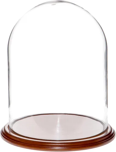 Vista 3 de Plymor 11.75" x 15" Pantalla de cristal Cúpula Cloche (base de chapa de madera negra)