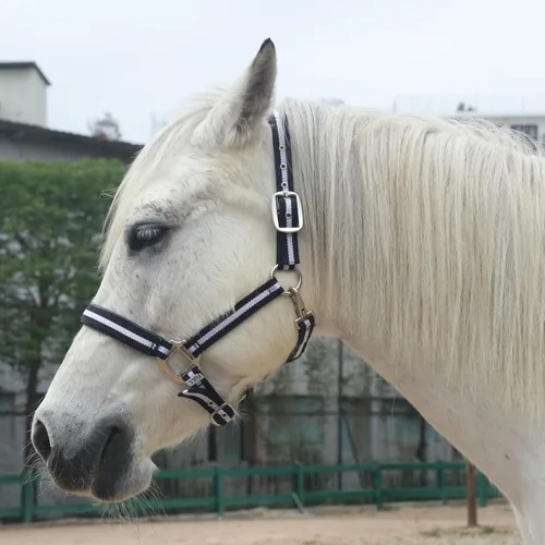 Vista 4 de Cabestros ajustables para caballos, correas y accesorios de nailon resistente, acolchados con espuma antirozaduras acolchada en la corona y la nariz