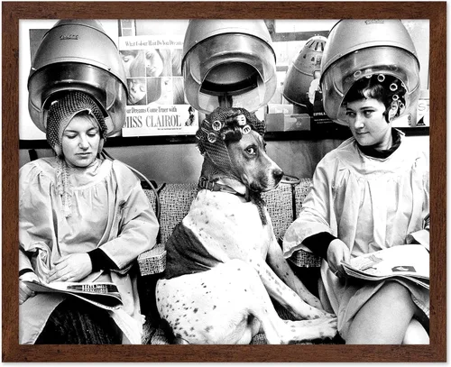 Vista 41 de Monem Art - Póster de perro en el spa, impresión de perros y mujeres, arte de fotografía, arte de moda, arte en blanco y negro, arte humorístico