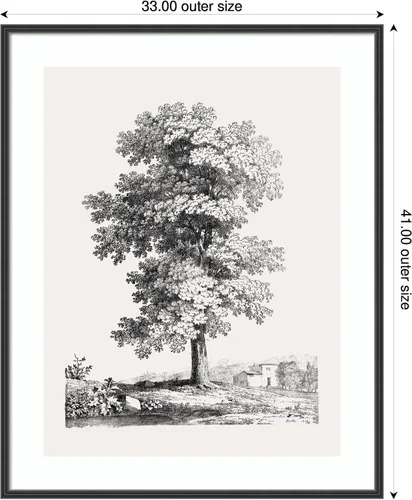 Vista 2 de Kate and Laurel Framed Wall Art Print 'Jean Victor Bertin Study of a Tree 1816' by The Art Institute of Chicago, 33 x 41, Stylish Black Narrow