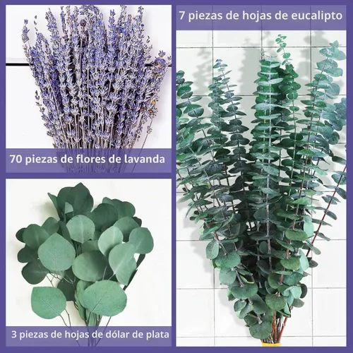Vista 5 de Tallos de eucalipto secos y flores de lavanda para ducha y decoración, 80