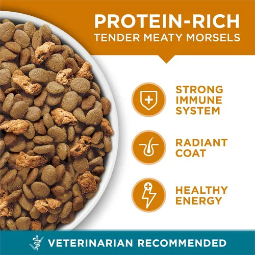 Vista 2 de Purina ONE Alimento seco natural para gatos mezcla tierna con pollo real bolsa de 16 libras