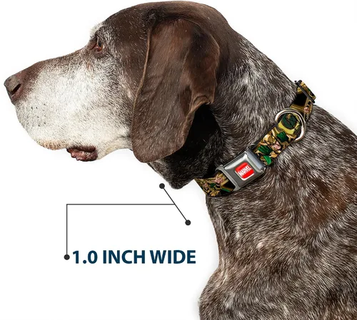 Vista 6 de Collar de perro hebilla de cinturón de seguridad Loki Poses Negro Oro Verde 9 a 15 pulgadas 1.0 pulgadas de ancho