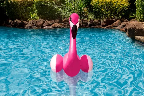 Vista 7 de Poolmaster 81445 - Decoración flotante para piscina, diseño de delfín bebé, grande