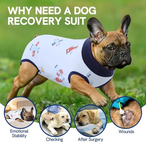Vista 4 de SAWMONG Traje de recuperación para perros, hembras y machos, transpirable, traje corporal para perro después de una cirugía, esterilización Avión
