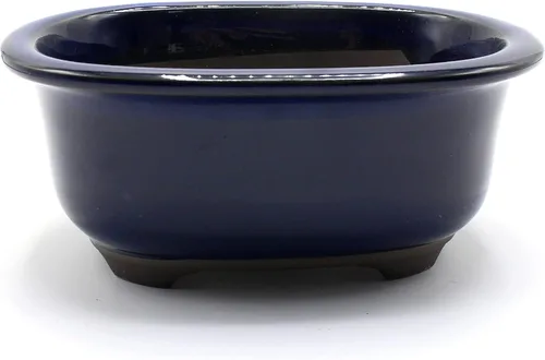 Vista 4 de Bonsai Pot de cerámica Seto-Yaki forma ovalada esmaltada con borde (6.5 pulgadas, Kinyo-Yu)