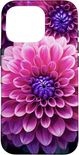 Vista 20 de Dahlia Flower Floral Nature Garden Funda con diseño granate rosa y morado para iPhone 16