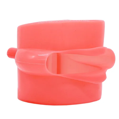 Vista 2 de Modelo dental de dientes Typodont con 32 piezas de dientes extraíbles Práctica de enseñanza Simulación de dientes Modelo de mejilla Kilgore Nissin
