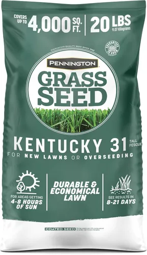 Vista 15 de Pennington Kentucky 31 Semilla de Césped Festuca Alta Penkoted 7 lb