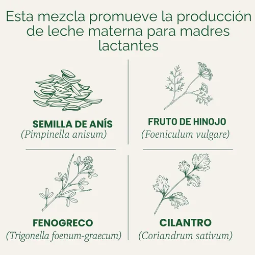Vista 3 de Traditional Medicinals Té orgánico, Té de leche materna - Apoya la lactancia y la producción de leche con hinojo y fenogreco - Kosher, sin OMG, sin