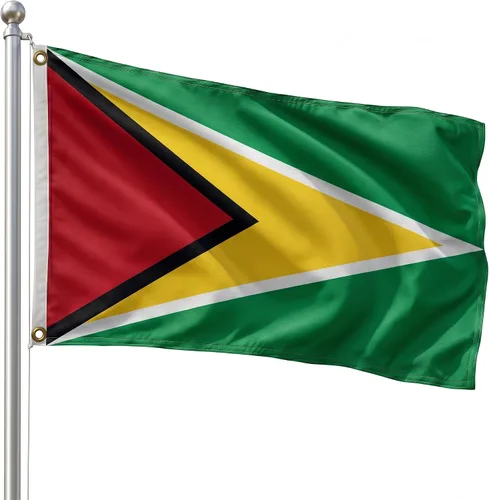 Vista 191 de DMSE - Bandera nacional beninesa beninesa de la República de África Occidental, 2 x 3 pies, 100 % poliéster, 100 % poliéster, resistente a los rayos