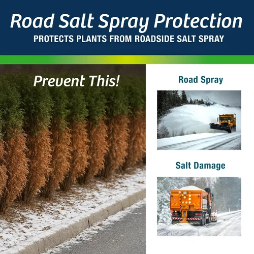 Vista 3 de Wilt-Pruf® Concentrado Protege contra daños en invierno, sequías y estrés Simplemente rocía y deja secar Bloquea la humedad con película