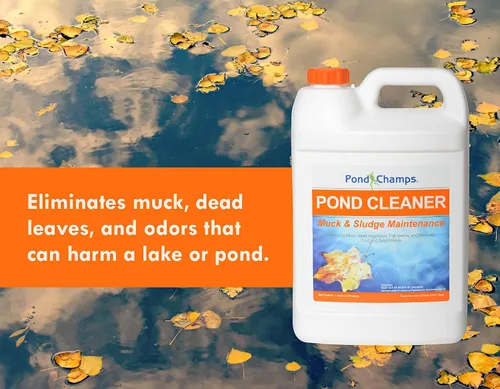 Vista 4 de Pond Champs Limpiador de estanques - Bacterias beneficiosas - Seguro para peces Koi y Gold - 1 galón