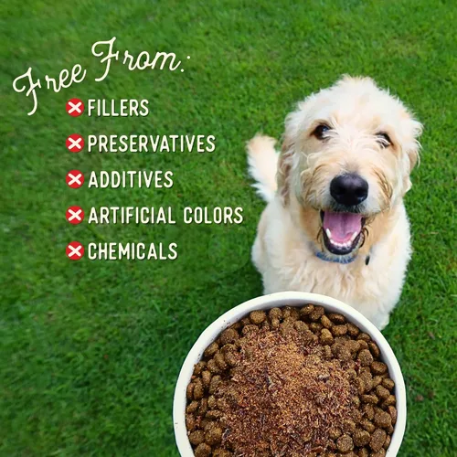 Vista 4 de Beg & Barker Toppers de comida para perros de carne de res (8 onzas, paquete de 1) – 100% hecho en Estados Unidos para comida de un solo ingrediente
