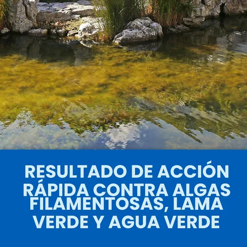 Vista 3 de CrystalClear Algae D-Solv - Alguicida de acción rápida registrado por la EPA, control de algas para fuentes y estanques al aire libre con koi