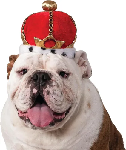 Vista 2 de Rubies Corona King Pet para perros o gatos, S/M