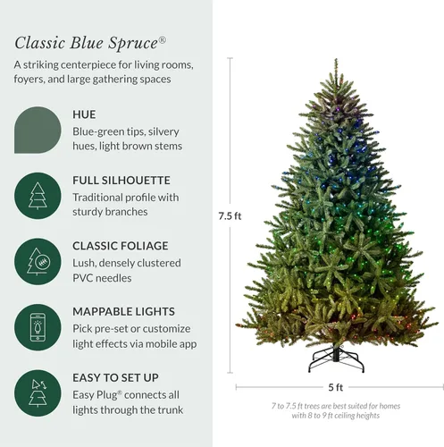 Vista 3 de Balsam Hill árbol de Navidad artificial, tradicional y prémium preiluminado, de 7.5 pies, pícea azul clásica con LED parpadeantes para espectáculo