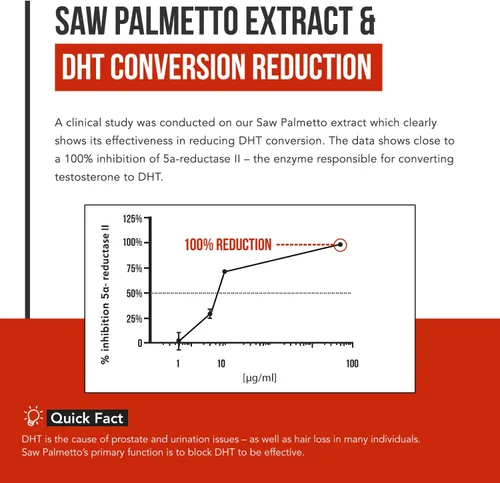 Vista 4 de Extracto de Saw Palmetto – Potencia 10X, Fuerza de Grado Farmacéutico – Más Aceite de Semilla de Calabaza – Apoya la Salud de la Próstata, Alivia